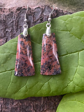 Load image into Gallery viewer, Honey Dendrite Agate Earrings