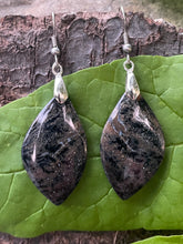 Load image into Gallery viewer, Honey Dendrite Agate Earrings