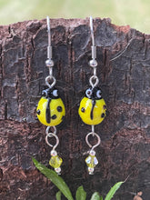 Load image into Gallery viewer, Lady Bug Earrings