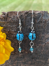 Load image into Gallery viewer, Lady Bug Earrings