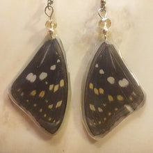 Load image into Gallery viewer, Butterfly Earrings