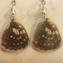 Load image into Gallery viewer, Butterfly Earrings