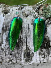 Load image into Gallery viewer, Jewel Beetle Earrings