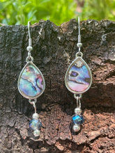 Load image into Gallery viewer, Abalone Earrings