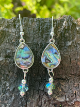 Load image into Gallery viewer, Abalone Earrings