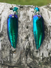 Load image into Gallery viewer, Jewel Beetle Earrings